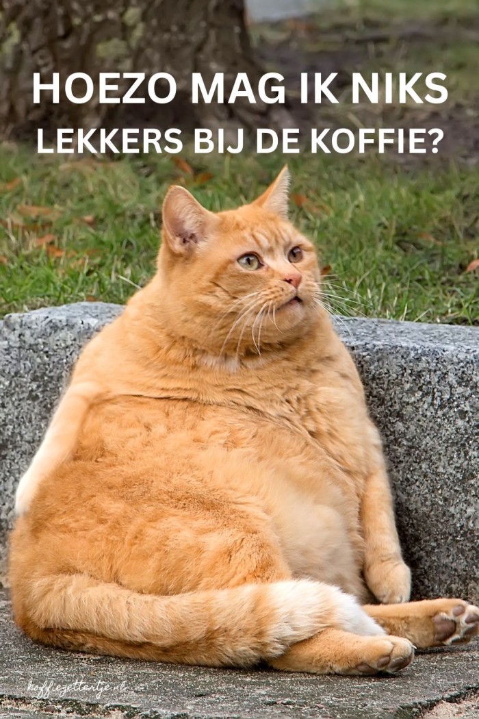 koffietijd humor