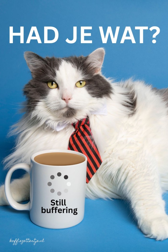 koffietijd poezen